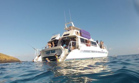 Maui Kai 806 snorkel tour