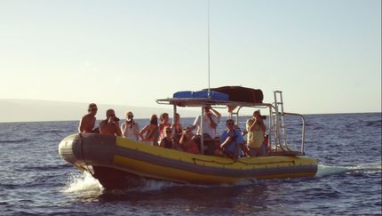 Maui Kai 806 snorkel tour