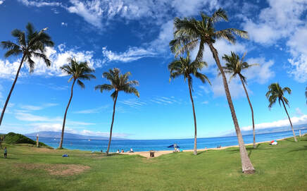 Maui mile marker 14